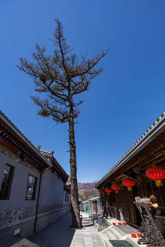 五台山黛螺顶寺庙古建