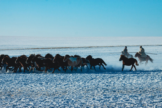 雪原马群蒙古族骑马奔跑