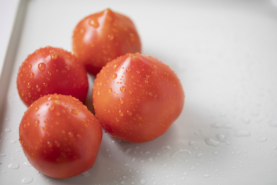 白底棚拍新鲜西红柿