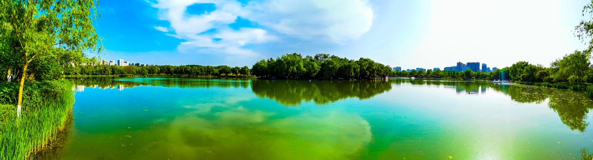 大明宫国家遗址公园湖畔全景