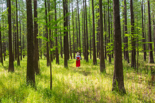 森林红衣女孩