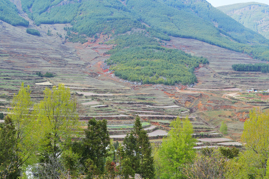 云南高山田野