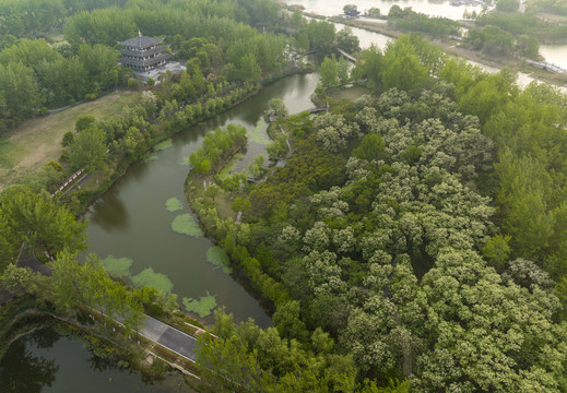 世界地球日的河流湿地生态