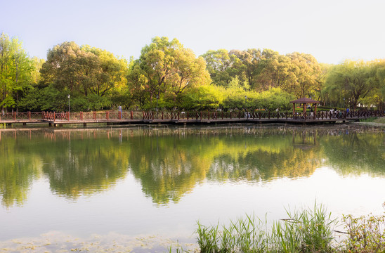 独墅湖白鹭园