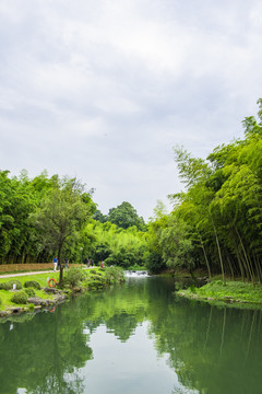 植物园景观