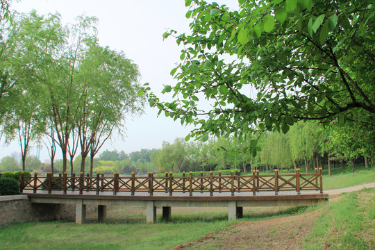 公园湿地小桥栈道