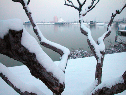 雪后小景