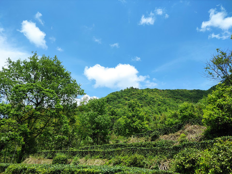 天空