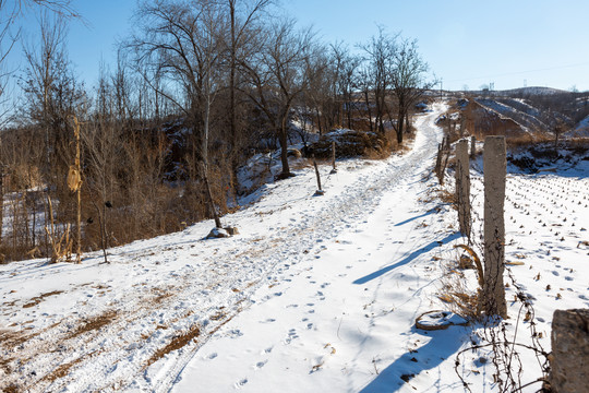 冬季雪后的路