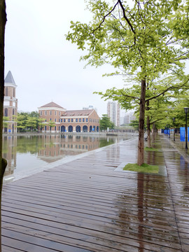 雨后公园