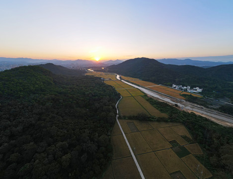 山区农村稻田