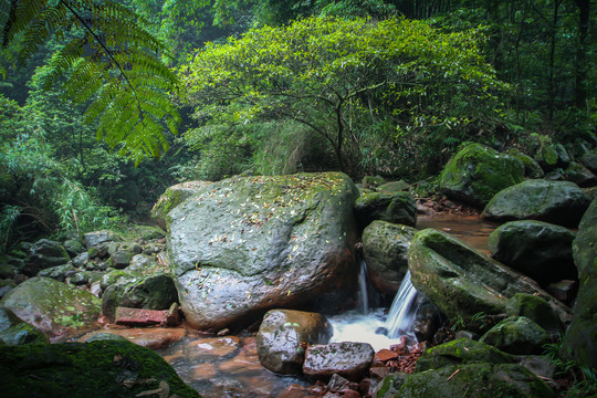 山谷清泉