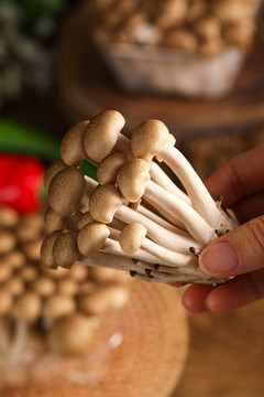 养生菌菇