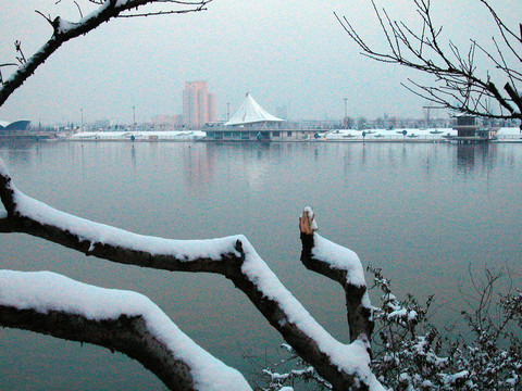 雪后小景