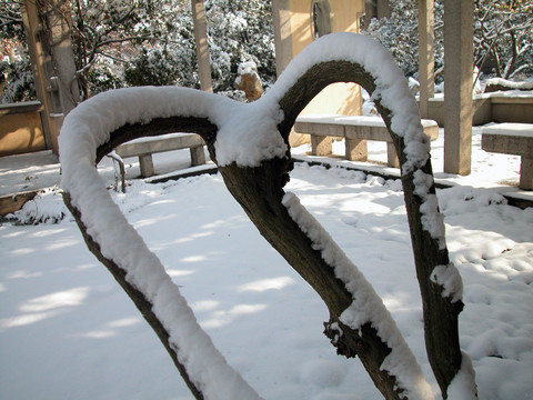 雪后小景