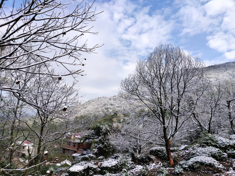 雪景