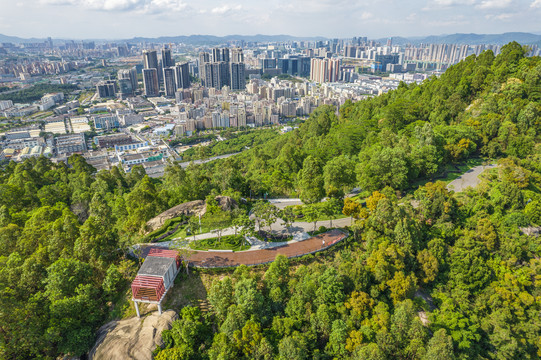 深圳大雁山森林公园