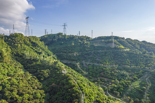 深圳大雁山森林公园