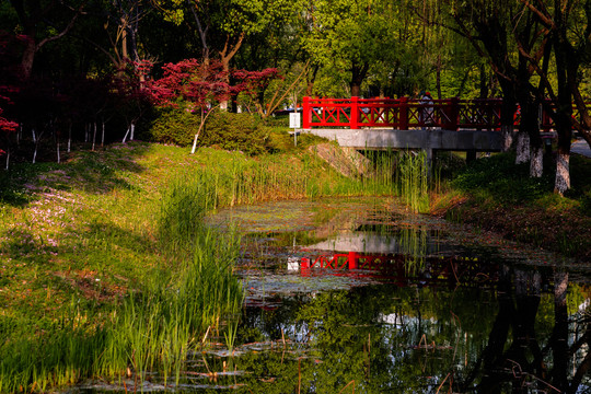 独墅湖湿地