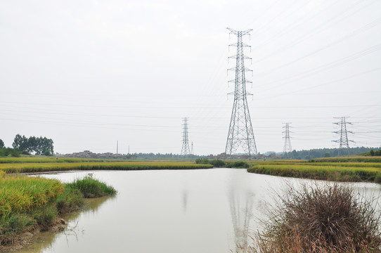 池塘水稻田