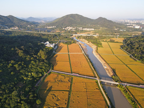 河道治理