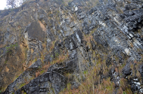 褶皱岩层