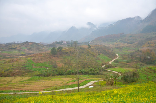 山间小道