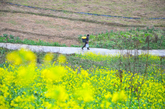 山间小路