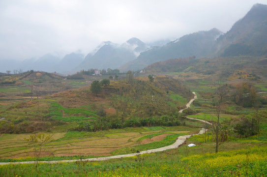 山区乡村道路