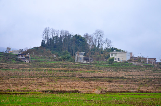 山区农村