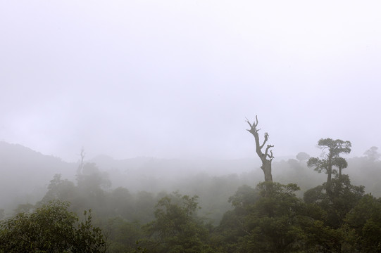 雨后山雾