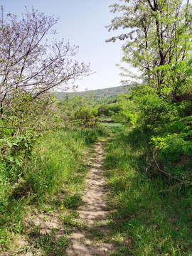 乡间小路