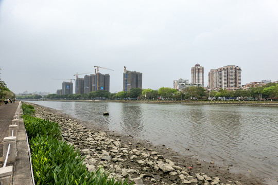 番禺市桥2022