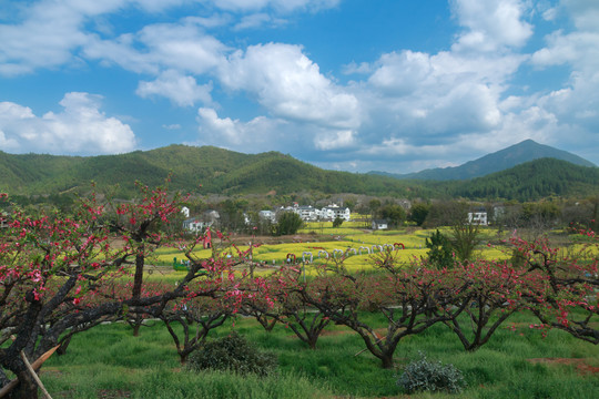 乡村风光