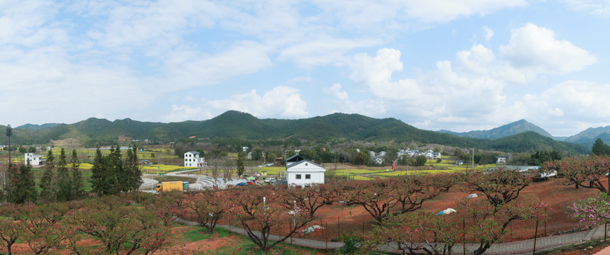 乡村风光