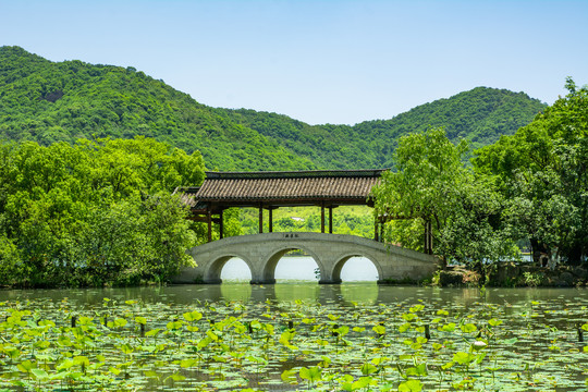 湘湖采莲桥