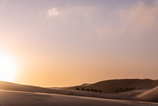 夕阳下的中国内蒙古沙漠