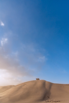 内蒙古沙漠里的风沙和骆驼队