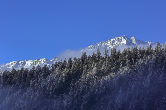 蓝天雪山树林自然风光
