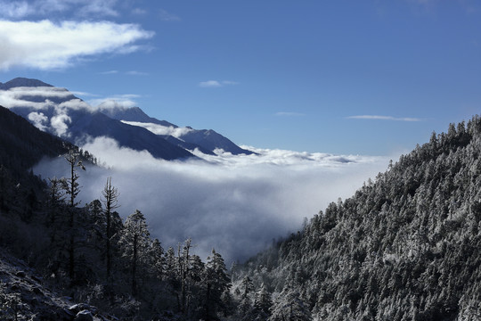 康定雅家埂雪山云海自然景观