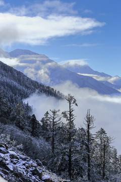 康定雅家埂雪山云海自然景观