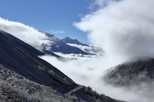 康定雅家埂风景名胜区自然风光