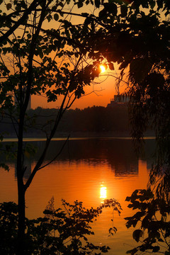 夕阳下的甘棠湖畔