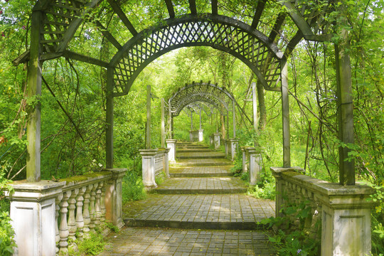 林中静谧长廊景观