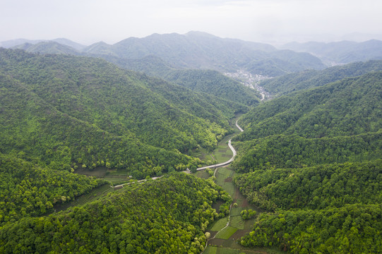 杭州西湖区梅家坞梅灵路航拍