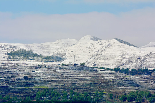 春山雪霁