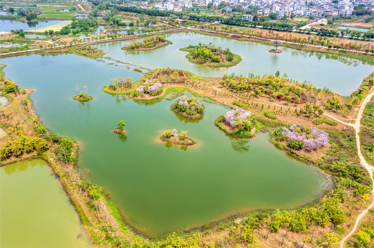 宾阳城北湿地公园