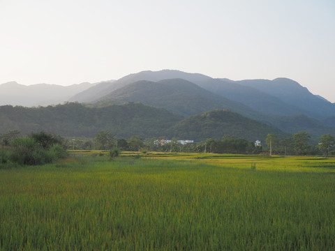 绿水青山