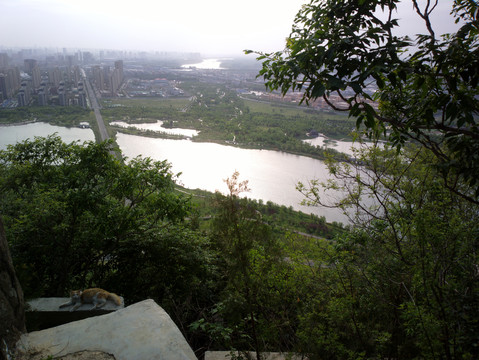 华山