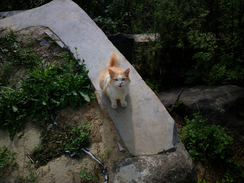 华山